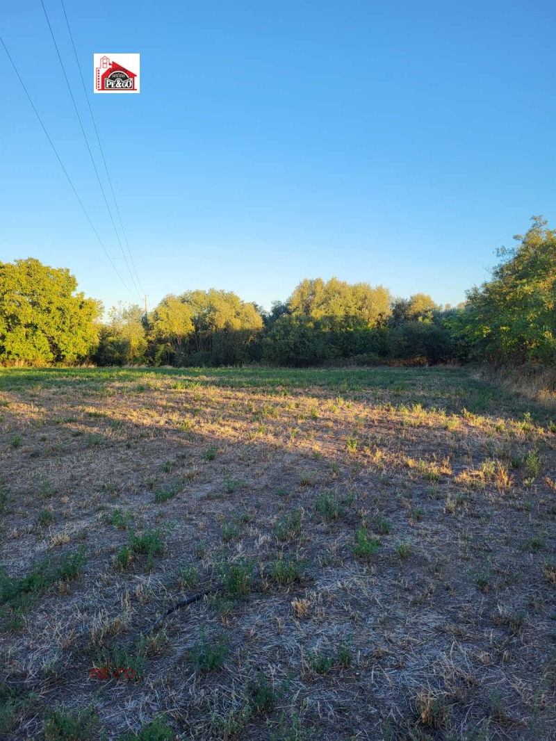 Продава ПАРЦЕЛ в област Пазарджик, с. Бошуля - 3992 кв.м / 56 139.85 € » 109 800 лв., ПЕ-ГО