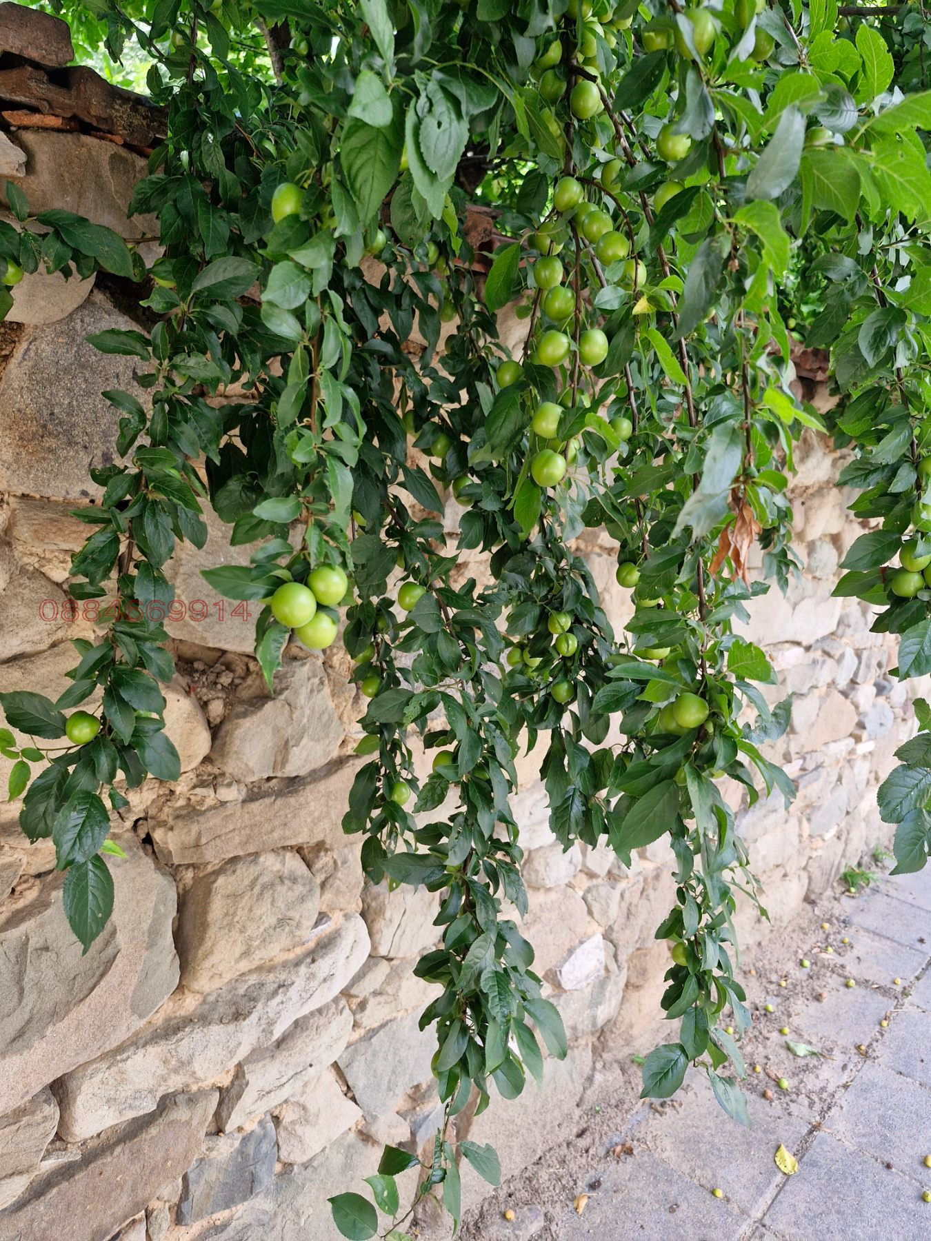 ������� ���� | Imot.bg � ����������� 4