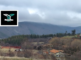 Verhaallijn Pantsjarevo, Sofia 3