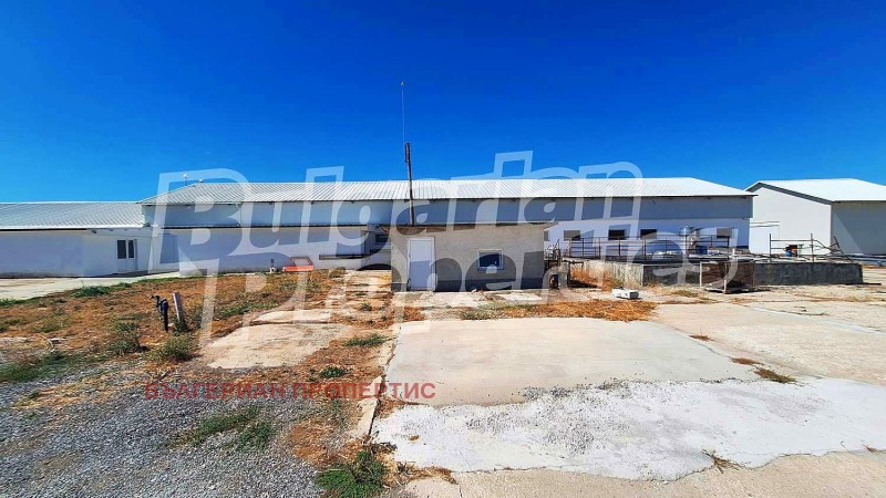 Продава  Склад област Пловдив , с. Голям чардак , 11774 кв.м | 66238675 - изображение [12]