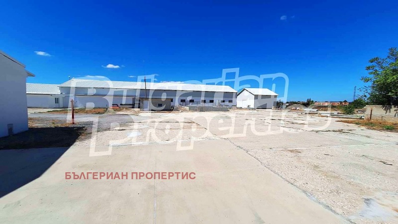 Продава  Склад област Пловдив , с. Голям чардак , 11774 кв.м | 66238675 - изображение [5]