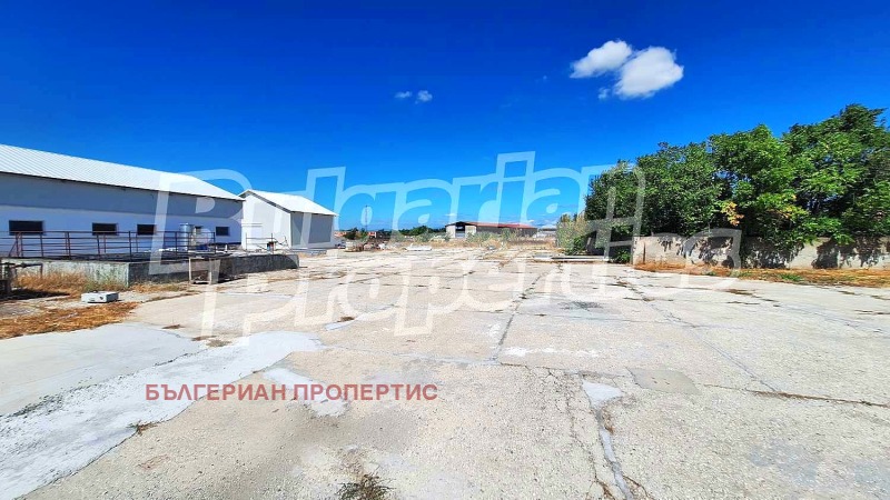 Продава  Склад област Пловдив , с. Голям чардак , 11774 кв.м | 66238675 - изображение [13]