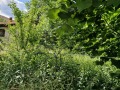 Продава  Къща област София , с. Мирково , 100 кв.м | 89612723 - изображение [5]