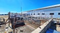 Продава СКЛАД, област Пловдив, с. Голям чардак • 1200000 € • 42919899 — Holmes.bg