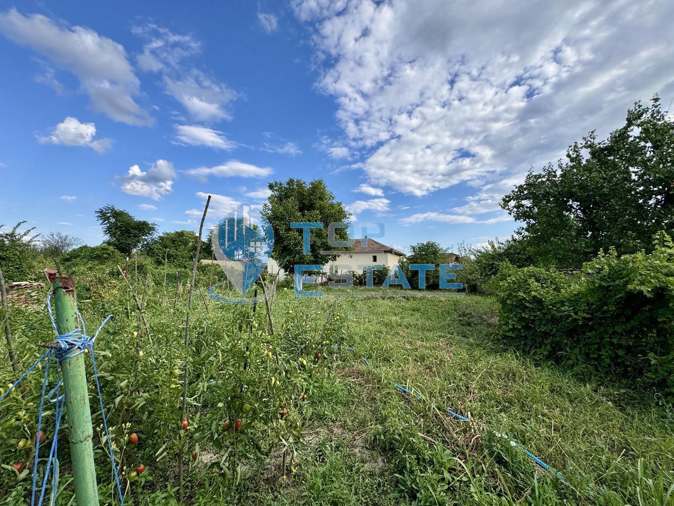 Продава КЪЩА, с. Драганово, област Велико Търново, снимка 2 - Къщи - 55528917