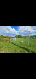 Продава ПАРЦЕЛ, с. Извор, област Перник, снимка 3