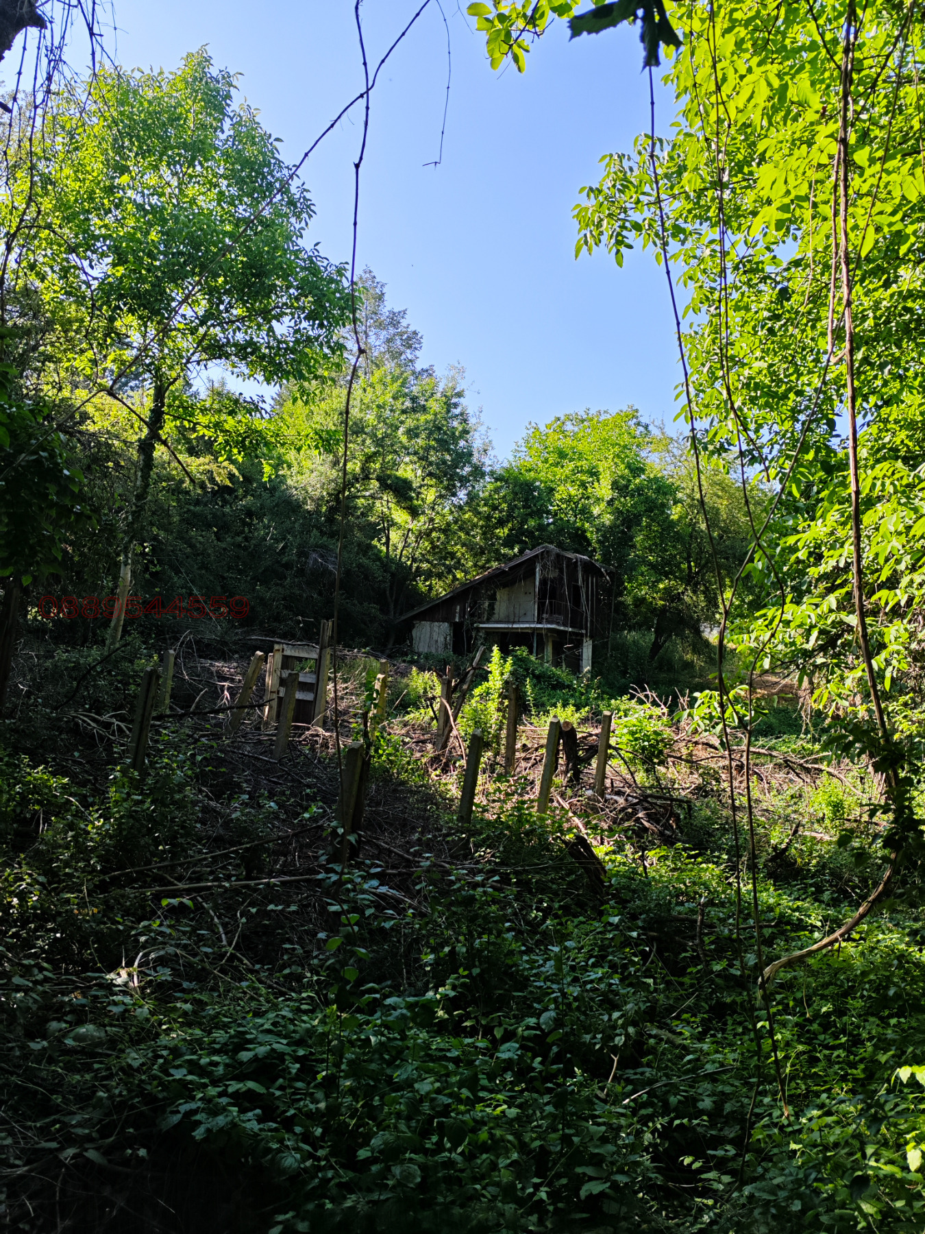 ������� ������ | Imot.bg � ����������� 7