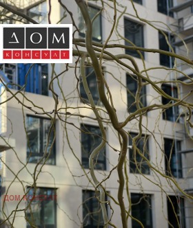 ������ ������� 2-�����