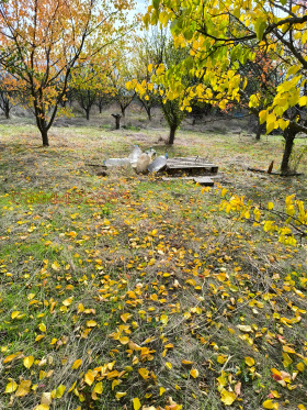 ������� ������ | Imot.bg � ����� ������ 4