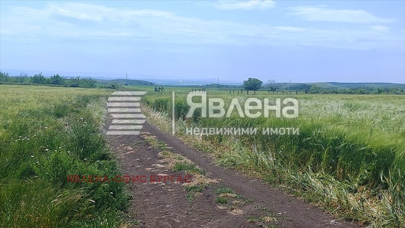Zu verkaufen  Handlung region Burgas , Kableschkowo , 6963 qm | 64952587 - Bild [2]