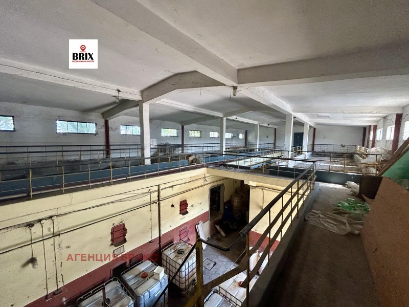 Продава БИЗНЕС ИМОТ, гр. Две могили, област Русе, снимка 6 - Други - 51483516