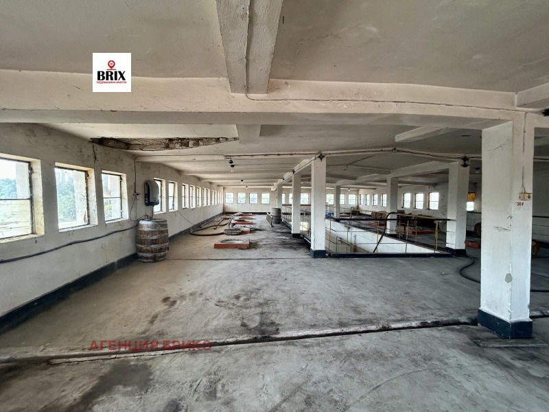 Продава БИЗНЕС ИМОТ, гр. Две могили, област Русе, снимка 7 - Други - 51483516