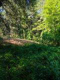 Продава ПАРЦЕЛ, гр. София, с. Кокаляне, снимка 4