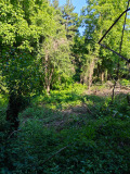 Продава ПАРЦЕЛ, гр. София, с. Кокаляне, снимка 3