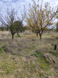 Продава ПАРЦЕЛ, гр. Шумен, Дивдядово, снимка 3
