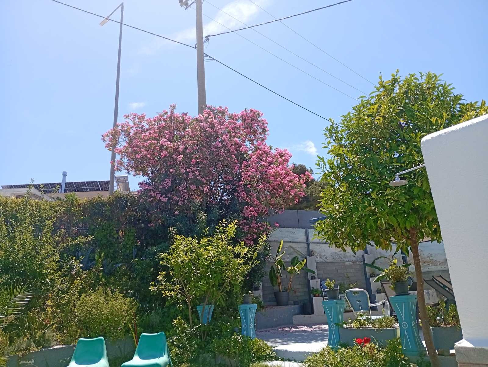 ������� ����� | Imot.bg � ����������� 10