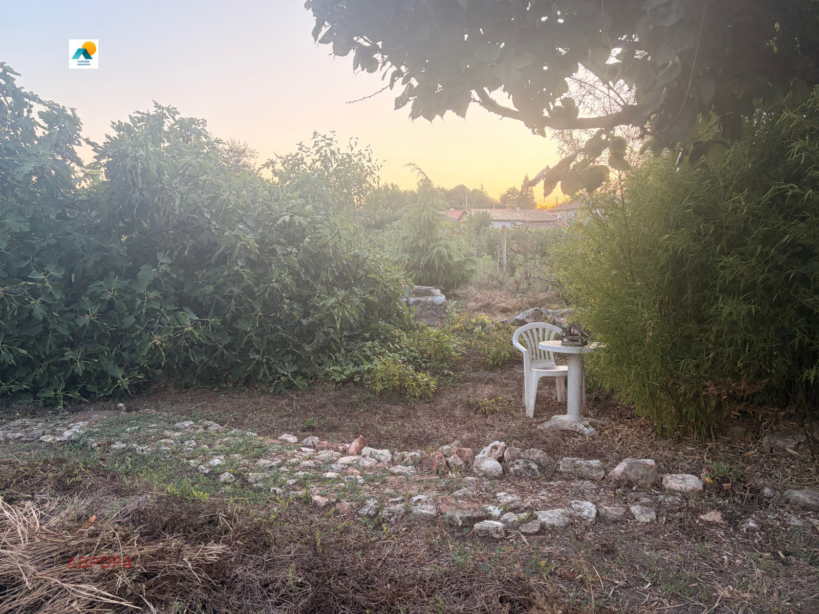 ������� ������ | Imot.bg � ����������� 7