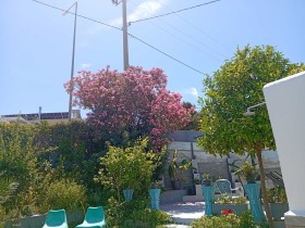 ������� ����� | Imot.bg � ����� ������ 10