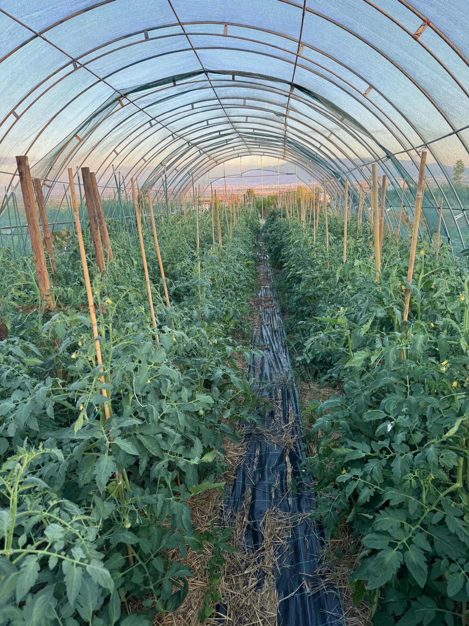 Продава БИЗНЕС ИМОТ, гр. София, с. Доброславци, снимка 5 - Други - 55174353