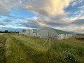 Продава ПАРЦЕЛ, гр. София, с. Войнеговци, снимка 4