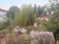 Продава ПАРЦЕЛ, гр. Шабла, област Добрич, снимка 3