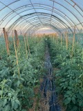 Продава БИЗНЕС ИМОТ, гр. София, с. Доброславци, снимка 5