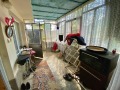 Продава КЪЩА, област Велико Търново, с. Пчелище • 80000 € • 12001260 — Holmes.bg