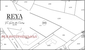 ����� ������� ������,���� �����, ����������