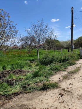 ������� ������ | Imot.bg � ����� ������ 5