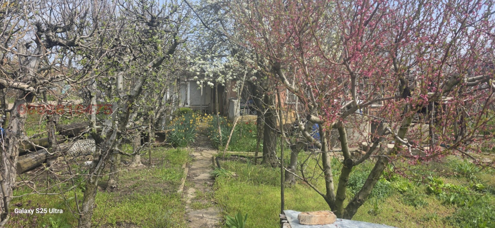 Продава КЪЩА, с. Зимница, област Ямбол, снимка 6 - Къщи - 54333941