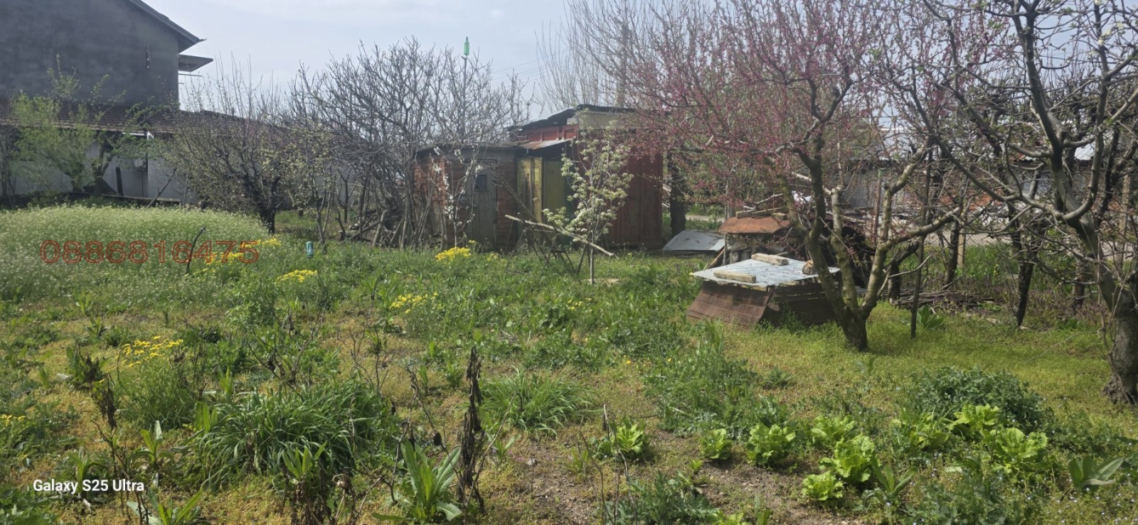 Продава КЪЩА, с. Зимница, област Ямбол, снимка 9 - Къщи - 54333941