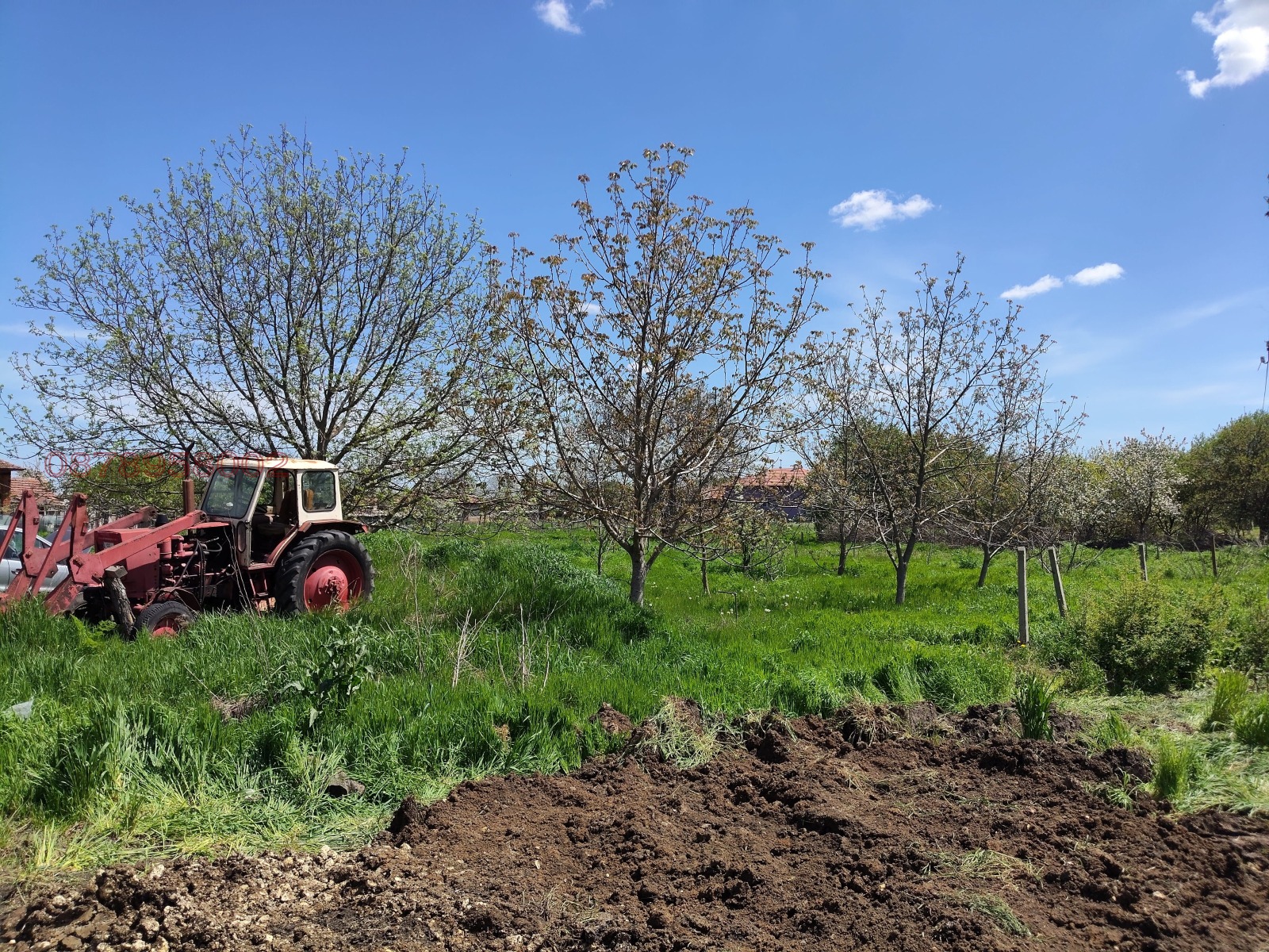 Продава ПАРЦЕЛ, с. Средоселци, област Разград, снимка 6 - Парцели - 54377331