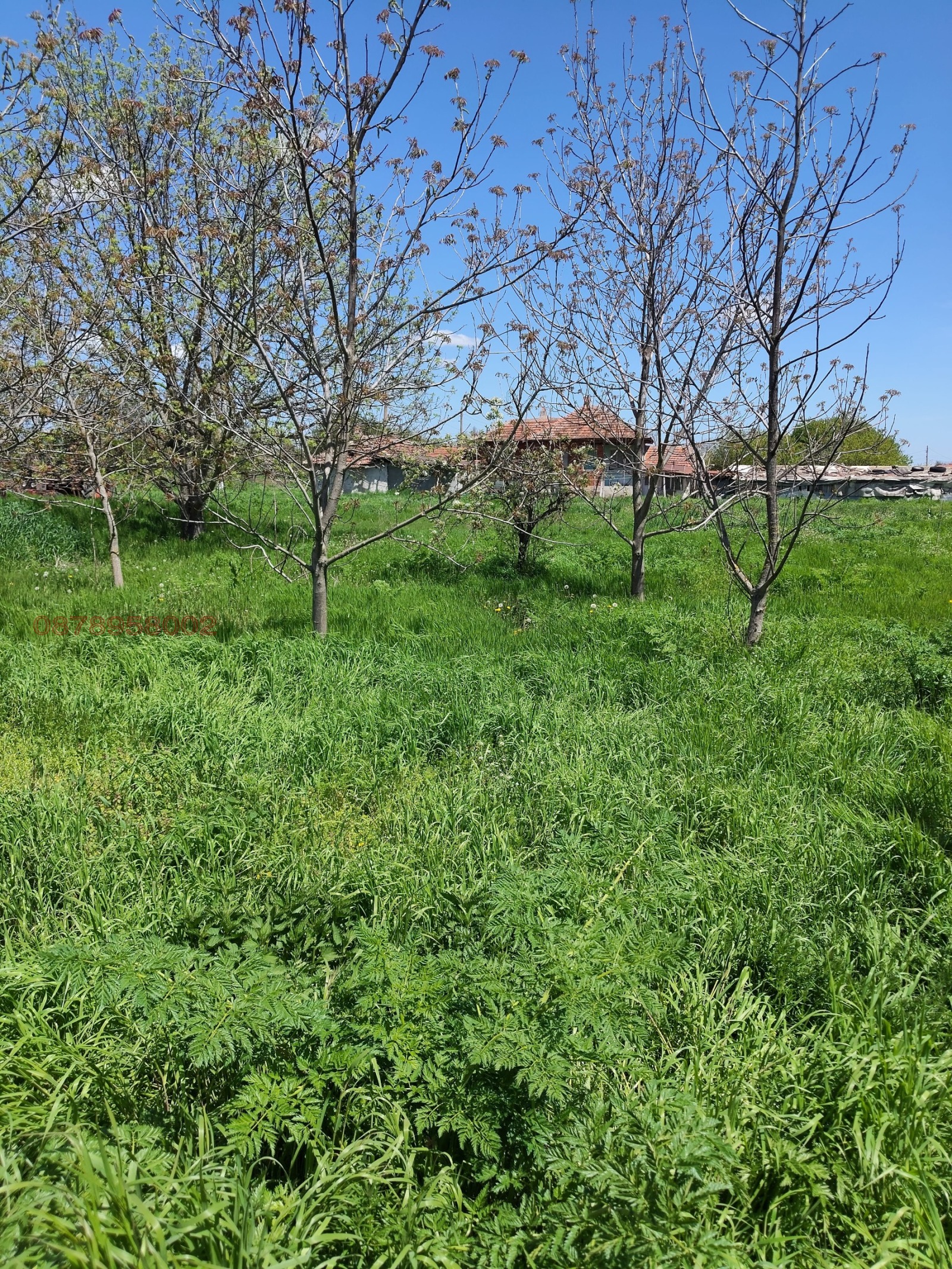 Продава ПАРЦЕЛ, с. Средоселци, област Разград, снимка 3 - Парцели - 54377331