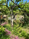 Продава КЪЩА, с. Ръжево, област Пловдив, снимка 3