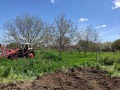 Продава ПАРЦЕЛ, с. Средоселци, област Разград, снимка 6