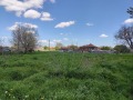 Продава ПАРЦЕЛ, с. Средоселци, област Разград, снимка 9