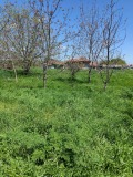 Продава ПАРЦЕЛ, с. Средоселци, област Разград, снимка 3