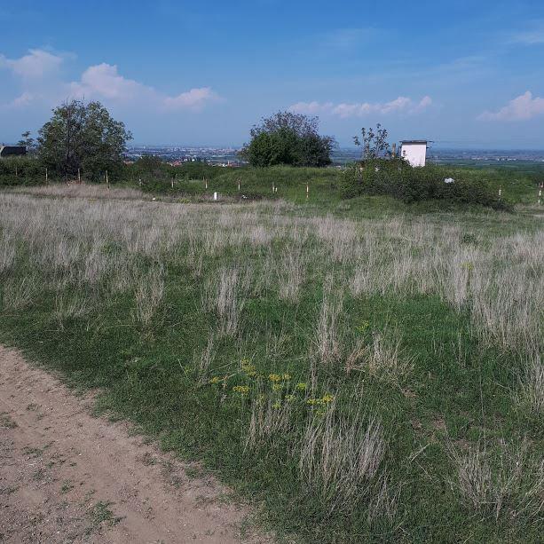 ������� ������ | Imot.bg � ����������� 8