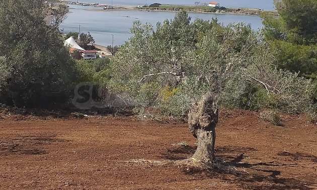 Продава ПАРЦЕЛ | Imot.bg — изображение 3