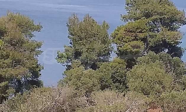 Продава ПАРЦЕЛ | Imot.bg — изображение 5