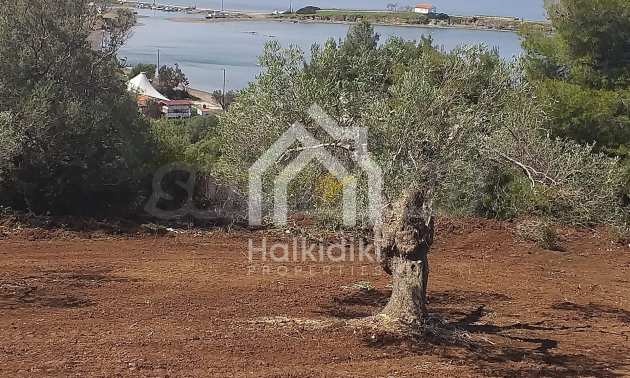 Продава ПАРЦЕЛ | Imot.bg — изображение 9