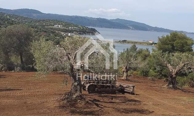 Продава ПАРЦЕЛ | Imot.bg — изображение 10