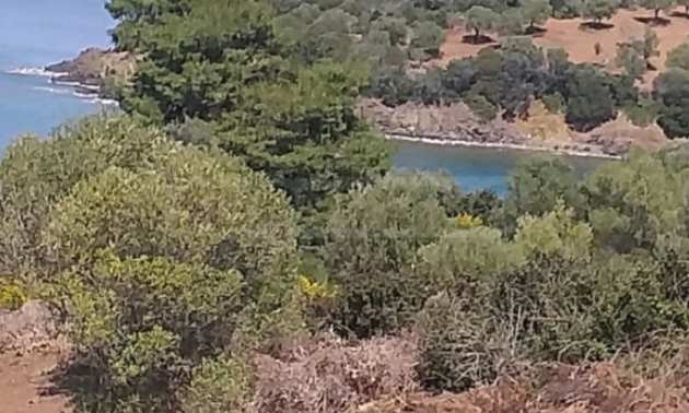 Продава ПАРЦЕЛ | Imot.bg — изображение 13