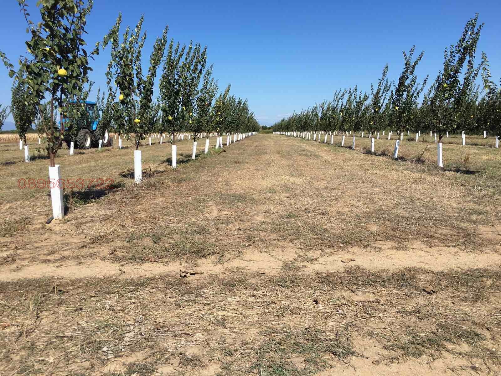 ������� ���������� ���� | Imot.bg � ����������� 2