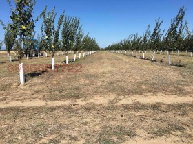 ������� ���������� ���� | Imot.bg � ����� ������ 2