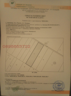 ������ ������� ���������� ����