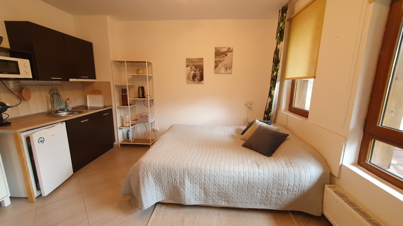 Til salgs  Studio region Blagoevgrad , Bansko , 35 kvm | 61351958 - bilde [3]