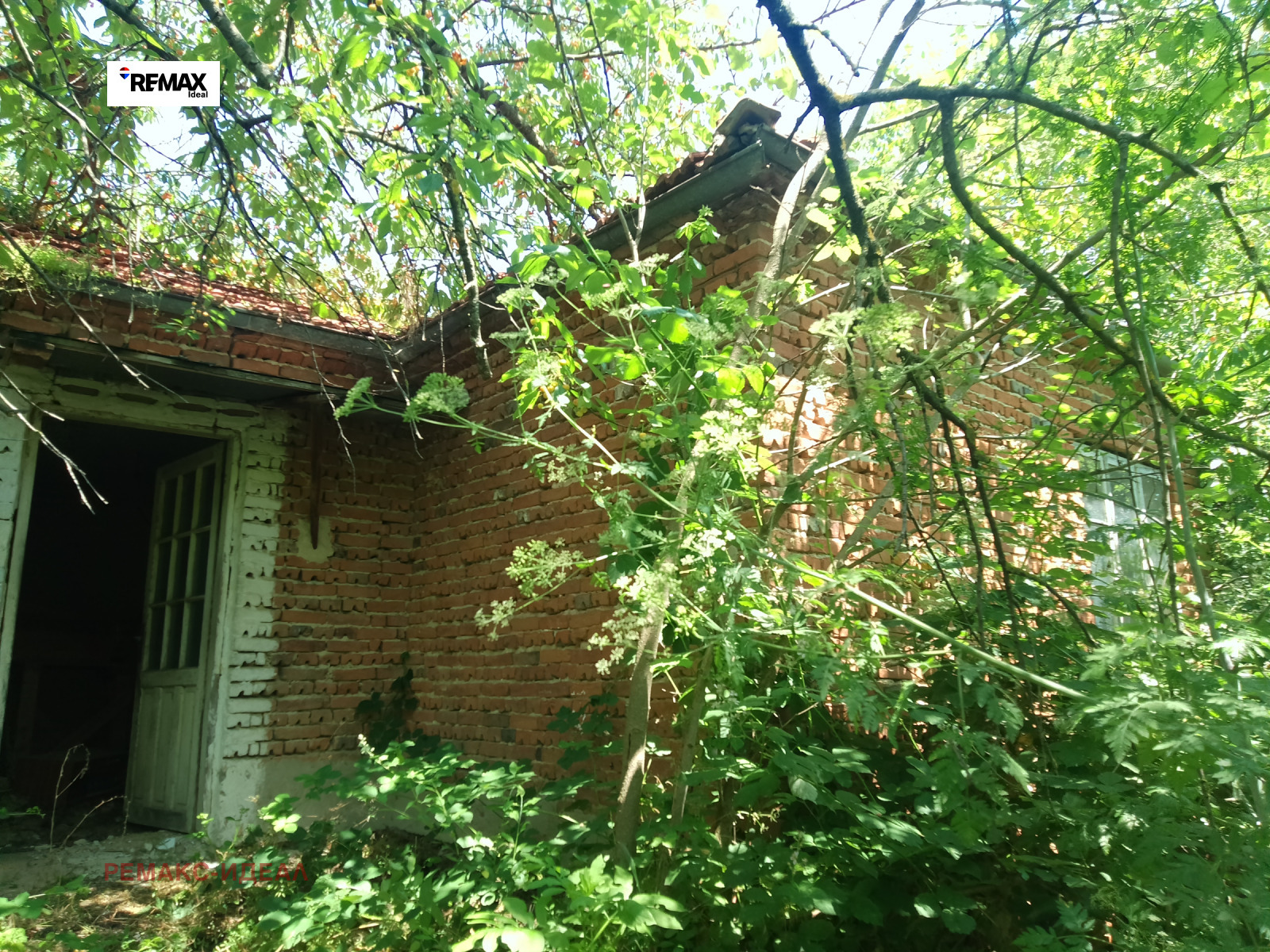 Продава ПАРЦЕЛ, с. Равна гора, област Варна, снимка 4 - Парцели - 53431772