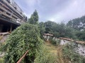 Продава  Къща област София , с. Росоман , 180 кв.м | 32621971 - изображение [6]