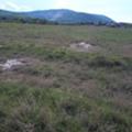 Продава ПАРЦЕЛ, област Пловдив, с. Белащица • 110550 € • 97835088 — Holmes.bg